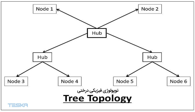تصویری از  توپولوژی فیزیکی درختی